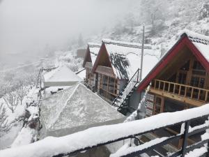 Parvati valley cottages & cafe