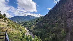 Parvati valley cottages & cafe