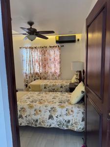 Carolina Apartment
