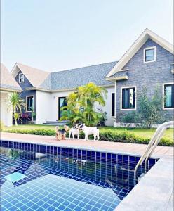 Jao Cozy Pool Villa
