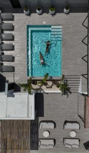 Coralia Boutique Hotel Cozumel