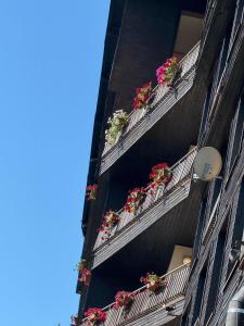 St Trifon Guests Apartments