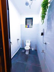 Forest Hill Home - Rooftop Pool, Gym, Office Space, Children play area