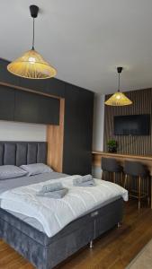 NN apartments