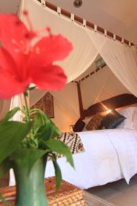 Kembali Lagi Guest House