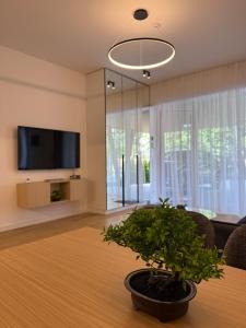 Žaliakalnis Terrace Luxury Apartment