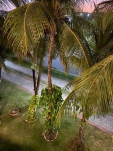 Apartamento no aquaville resort proximo ao beach park