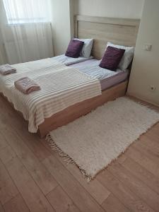 Centre Lviv Apartment