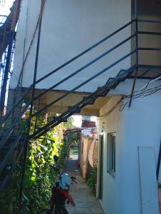 Posadeña linda