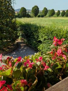 Agriturismo Alla Torricella