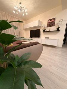 Magnolia Residence