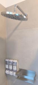 Larius Apartment Lecco