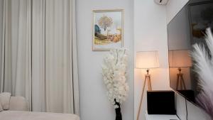 Zungu homes