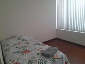 Apartamento Diario