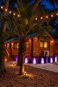 Cozy Florida Cabin Near Tampa Pool BBQ Sleeps 6