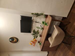 Starlight haven studio appartment