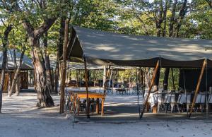 Hideaways Camelthorn Bush Camp, Greater Moremi