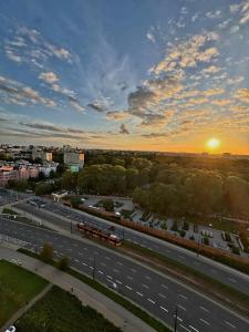 Golden Lion Wola Sky 14