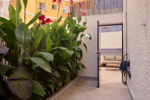 Casa de la Costa - Naranjos