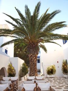 Nicos Studios & Apartments Paros Greece