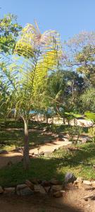Bungalow familiale Djema Forest