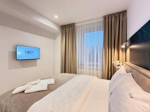 Cozy Urban Living In Iasi City Free Parking