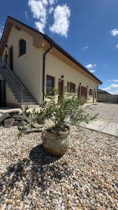 HENRY APARTMENT - Nesvady - Slovakia