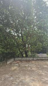 Terra Green Mountain Stay Wayanad