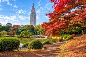 -Katsura 207- 4 mins to Okubo Station