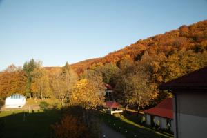 Bogolvar Retreat Resort - Курорт для усамітнення "Богольвар"