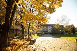 Bogolvar Retreat Resort - Курорт для усамітнення "Богольвар"