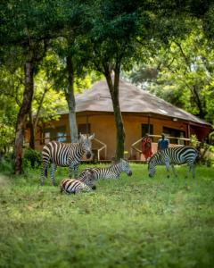 Sopa Lodges