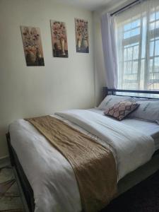 Premium Zambia Apartment