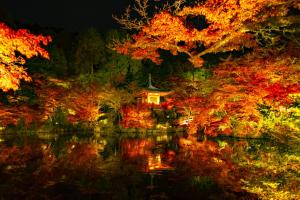 琥珀 Apartment Hotel Kyoto
