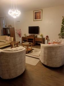 Cozy and Spacious Apartments