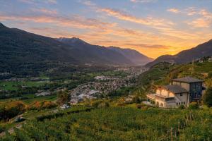 Tra Vigne e Vette in Valtellina