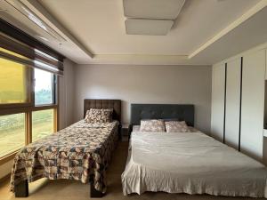 DHeights Studio