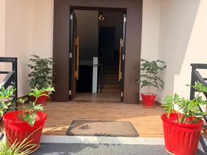 104 Studio Mangotree Homestay
