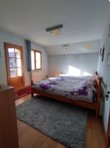 Casa Iancu