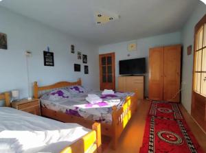 Casa Iancu