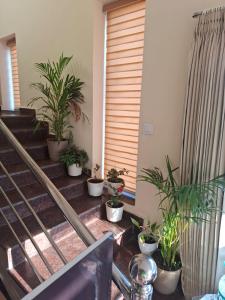 Rest Inn Ooty