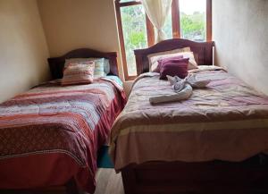 Hostal Conejito Quilotoa