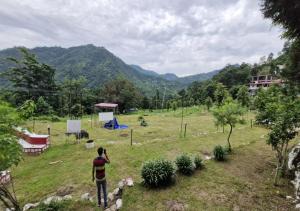 Vaatika Resort
