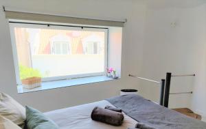 Your private garden in Lisboa - Castelo and Alfama