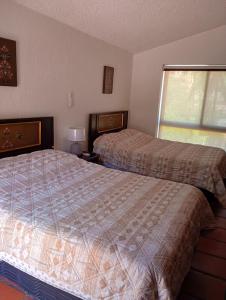 Villa del palmar Manzanillo