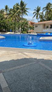 Villa del palmar Manzanillo