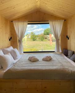 Glamping pospolu
