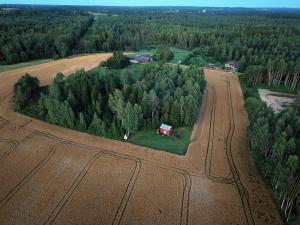 Väikse haldja onn