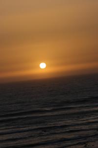 Surfvivoimsouane