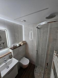 Apartment in Kaunas Old Town with Free Parking